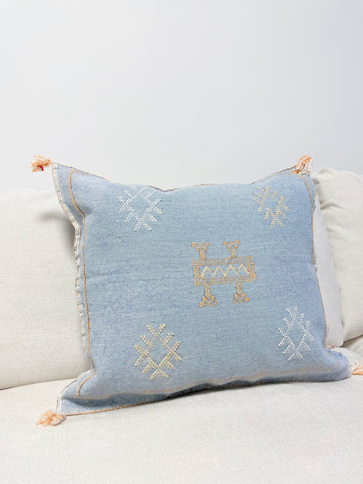 Tyynynpäällinen, kaktussilkki, lemmikki