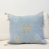 Tyynynpäällinen, kaktussilkki, lemmikki